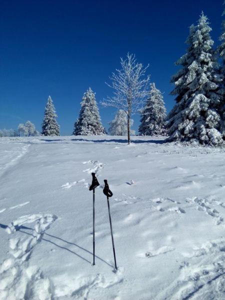 Zum Heideblick Appartement Winterberg